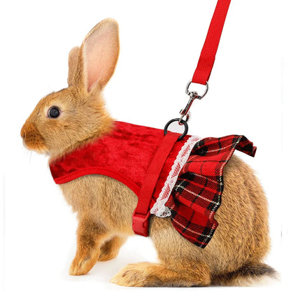 Cute Rabbit Chest  Harness with Leash