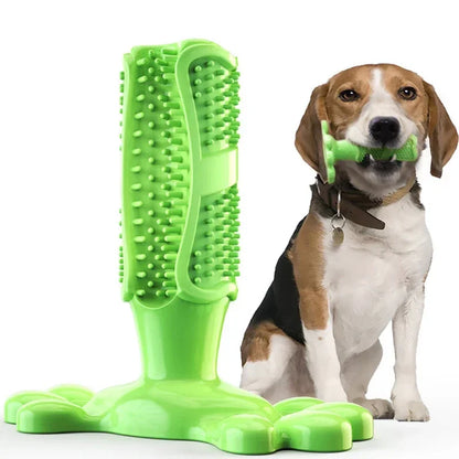 Cactus Interactive Rubber Chew Toys
