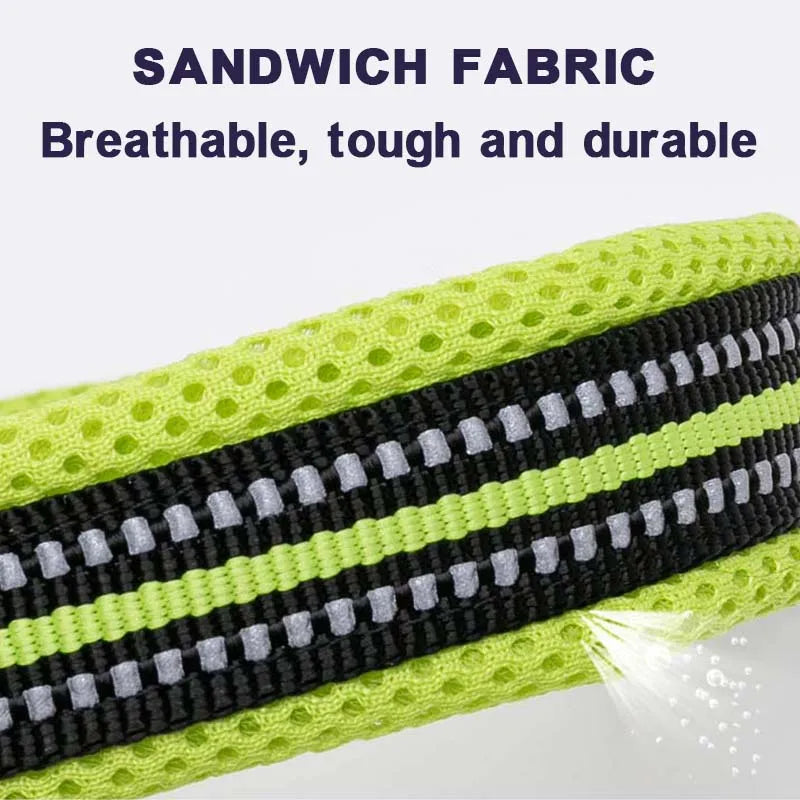 Walking Collar Comfort Padded with Buckle