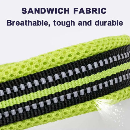 Walking Collar Comfort Padded with Buckle