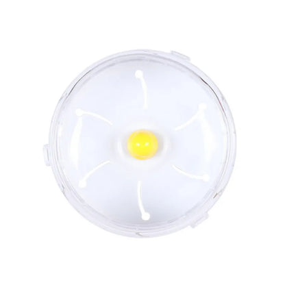 Pet  Running Wheel