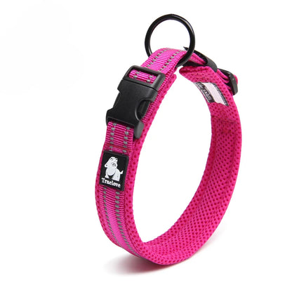 Walking Collar Comfort Padded with Buckle