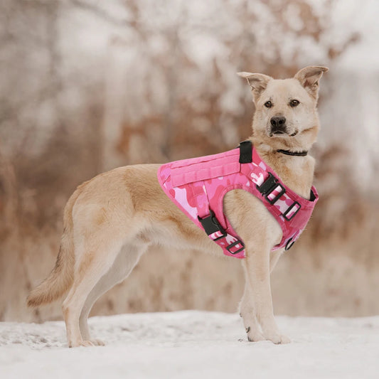 Military Pink Camouflage  Harness