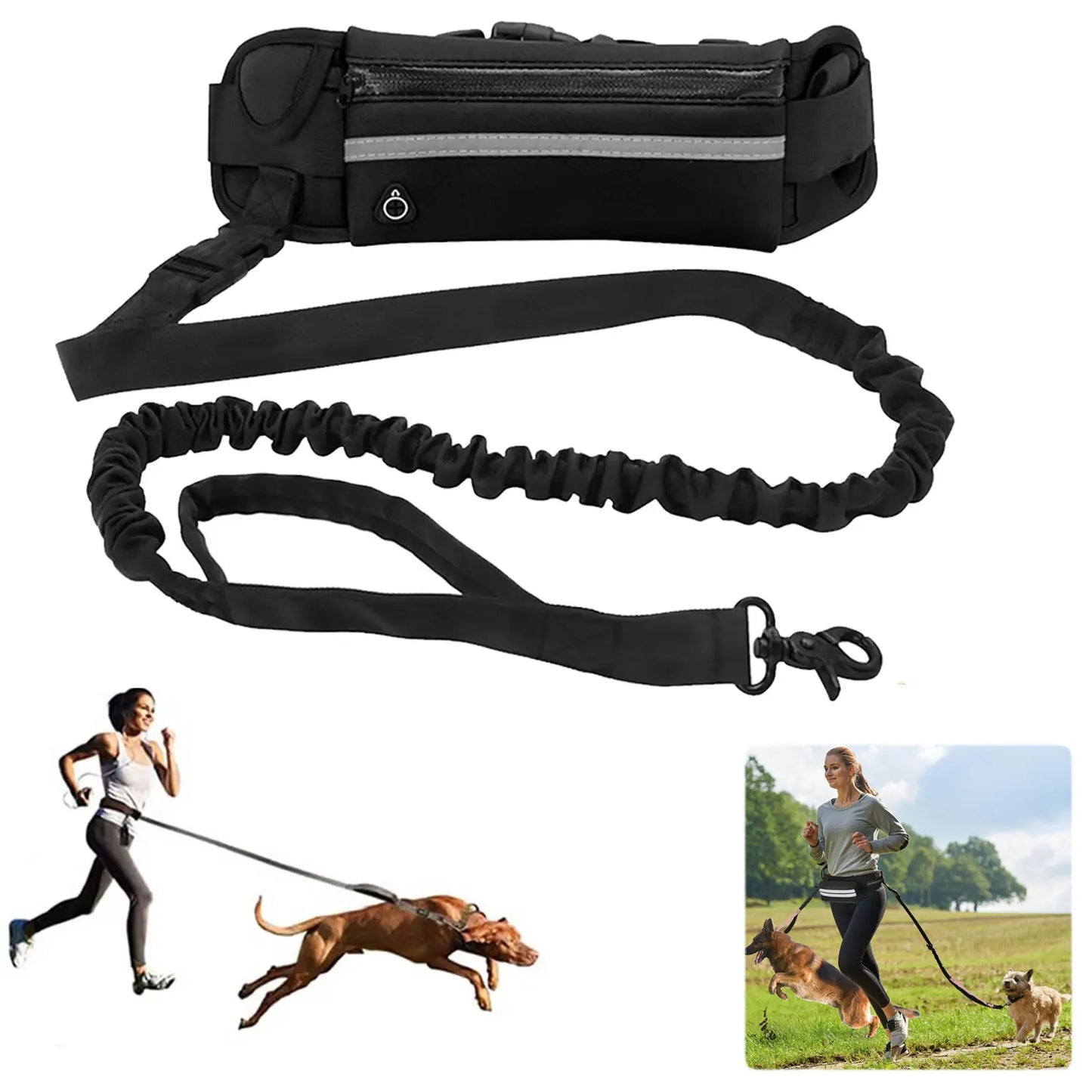 Hands Free Reflective Leash with Waist Bag