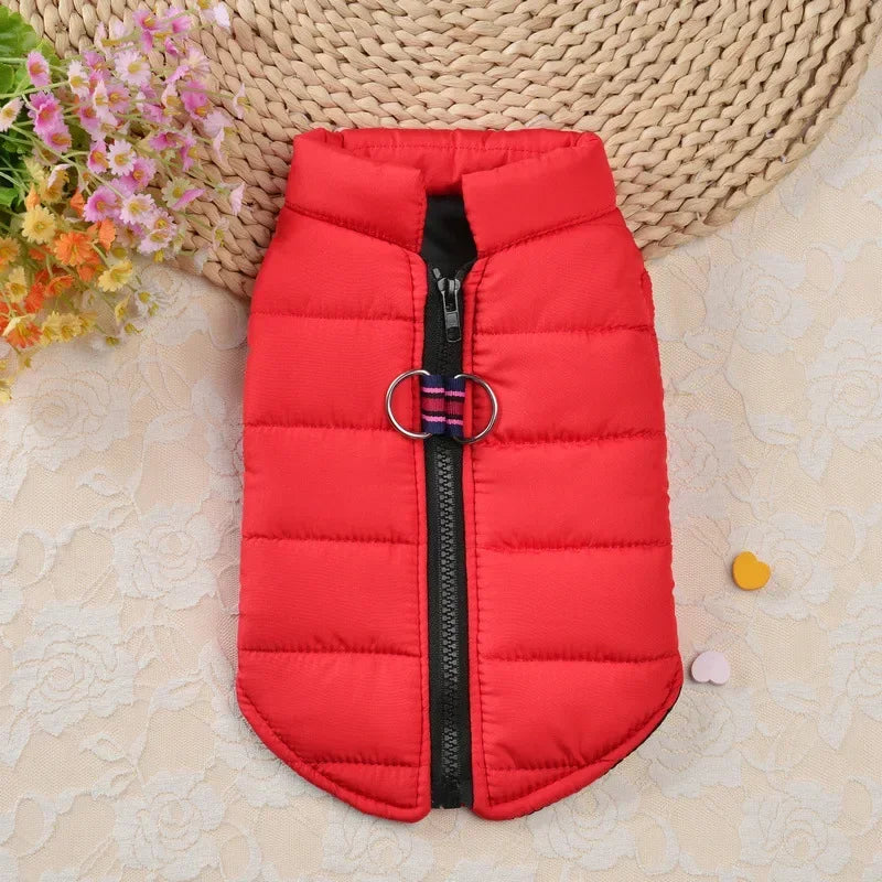 Winter Warm Clothes Windproof Jacket
