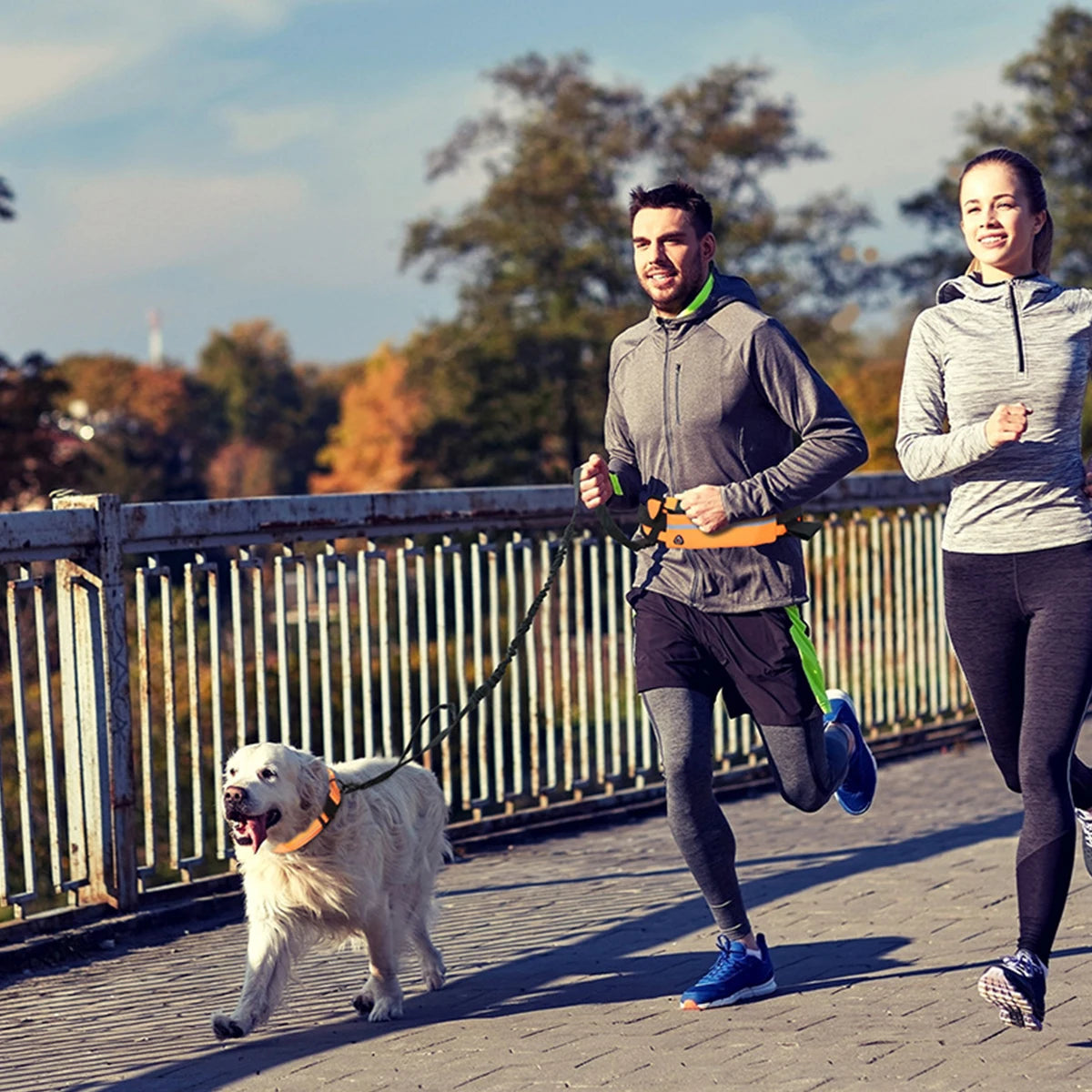 Hands Free Reflective Leash with Waist Bag
