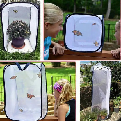 Butterfly Habitat