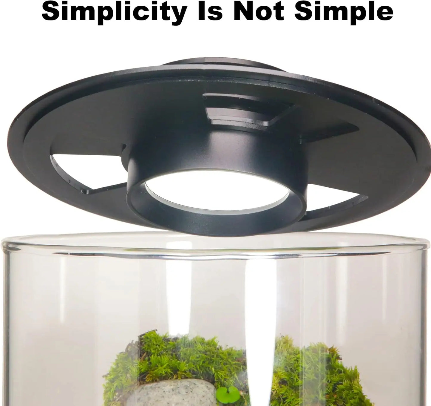 Glass Plant Terrarium with LED Grow Light Betta Fish Tank