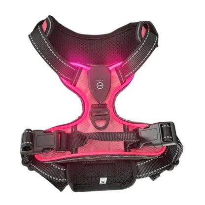 Led Dog Harness  Adjustable Rechargeable