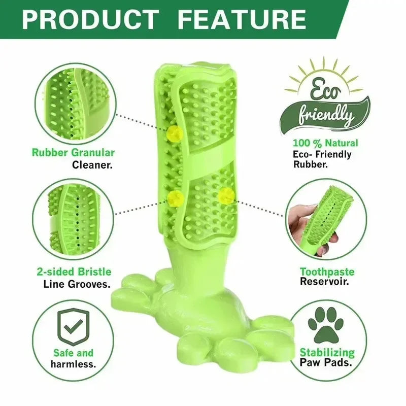 Cactus Interactive Rubber Chew Toys