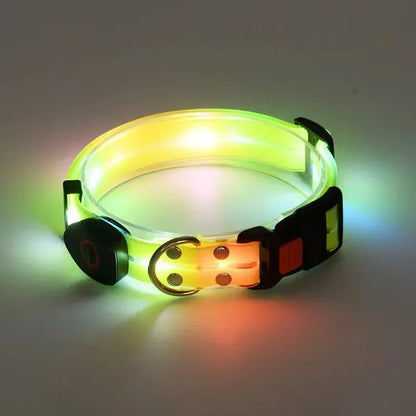 Light Up  Leash Safety Glow USB Rechargeable