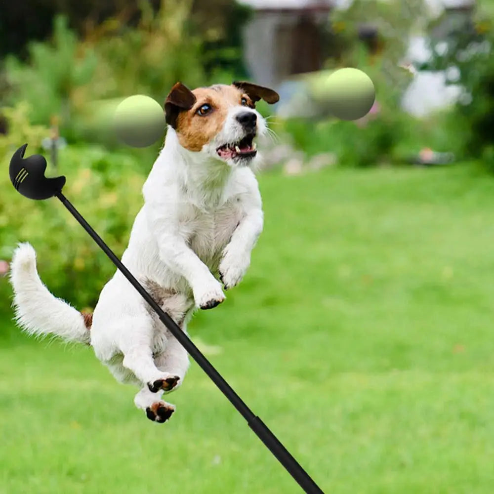 Hand Throwing Pole Launcher Outdoor Training