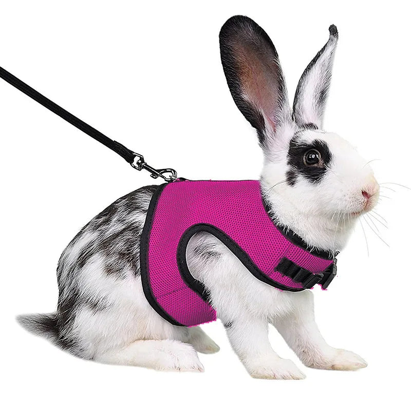 Mesh Breathable Ferret Bunny Harness Leash Set