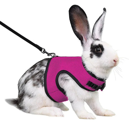 Mesh Breathable Ferret Bunny Harness Leash Set