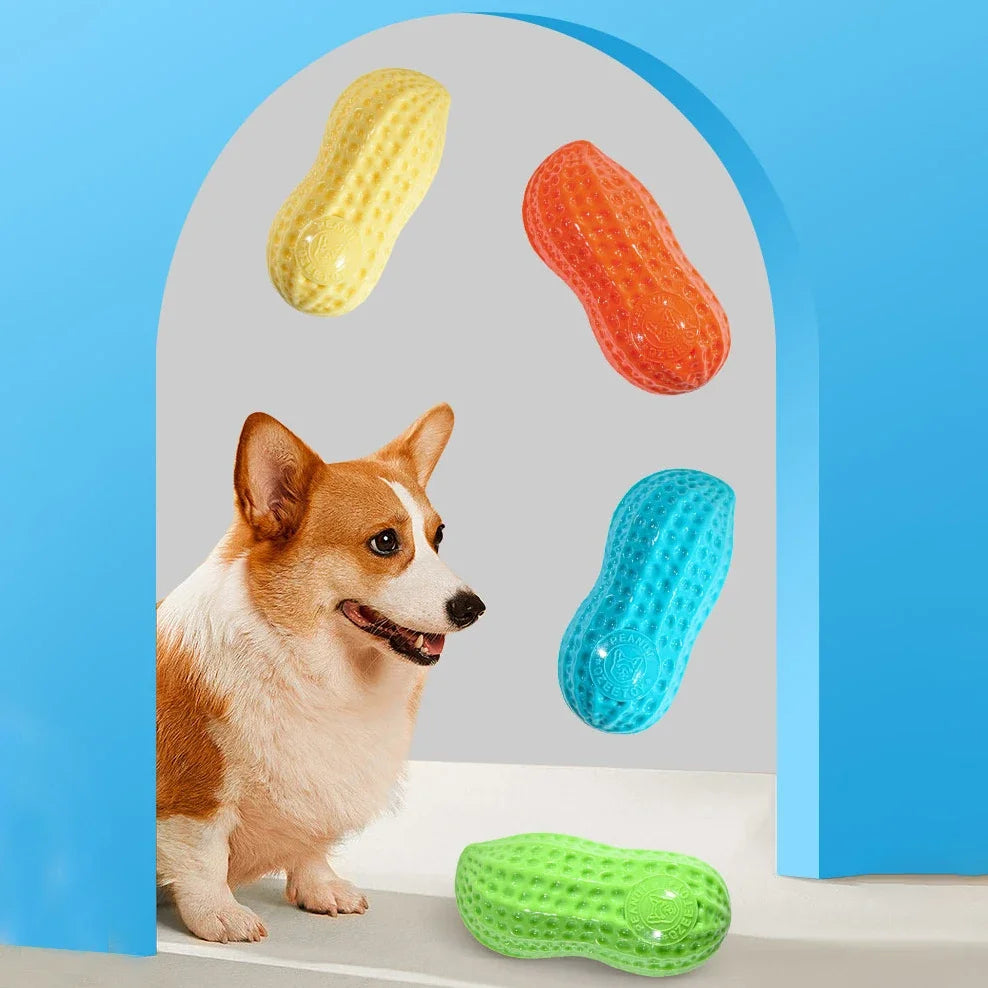 Chewing Toy Peanut Squeaking Anti Bite Rubber
