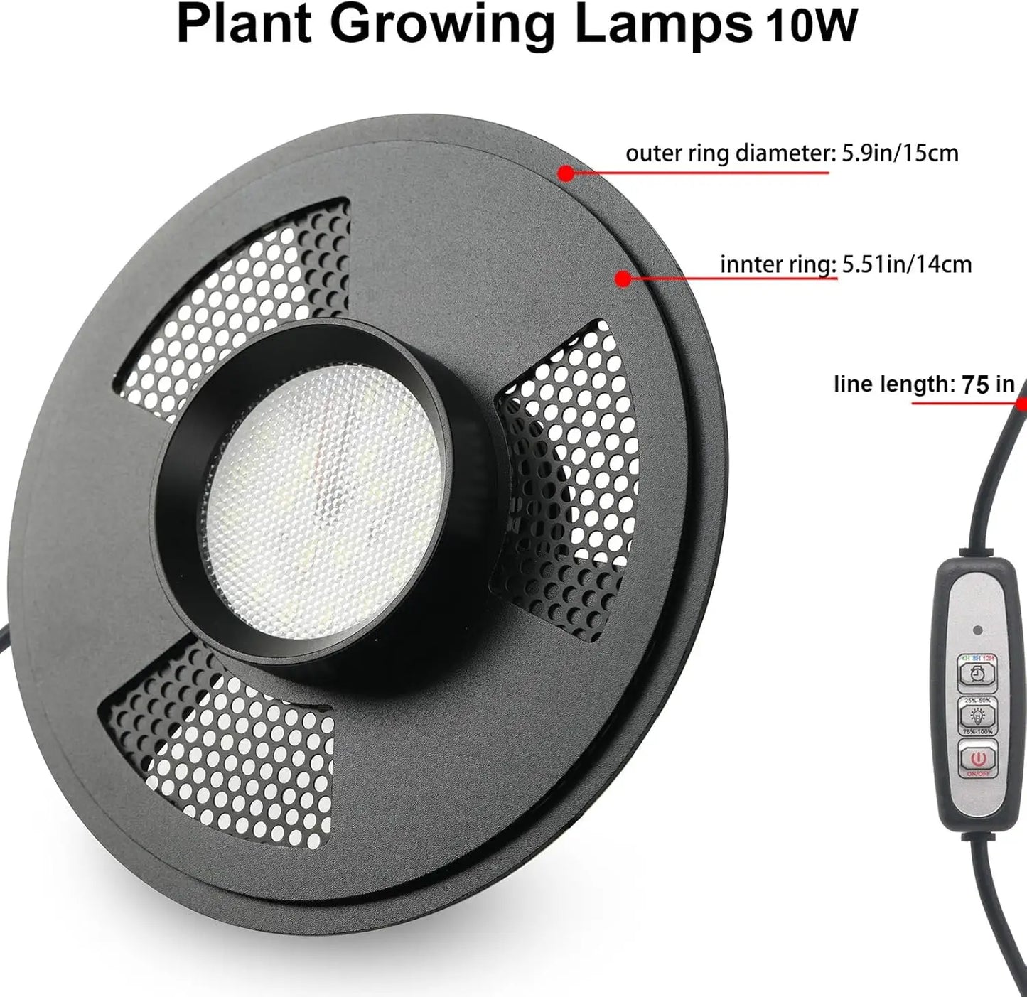 Glass Plant Terrarium with LED Grow Light Betta Fish Tank
