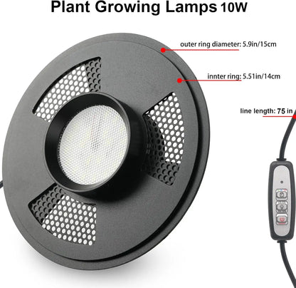 Glass Plant Terrarium with LED Grow Light Betta Fish Tank