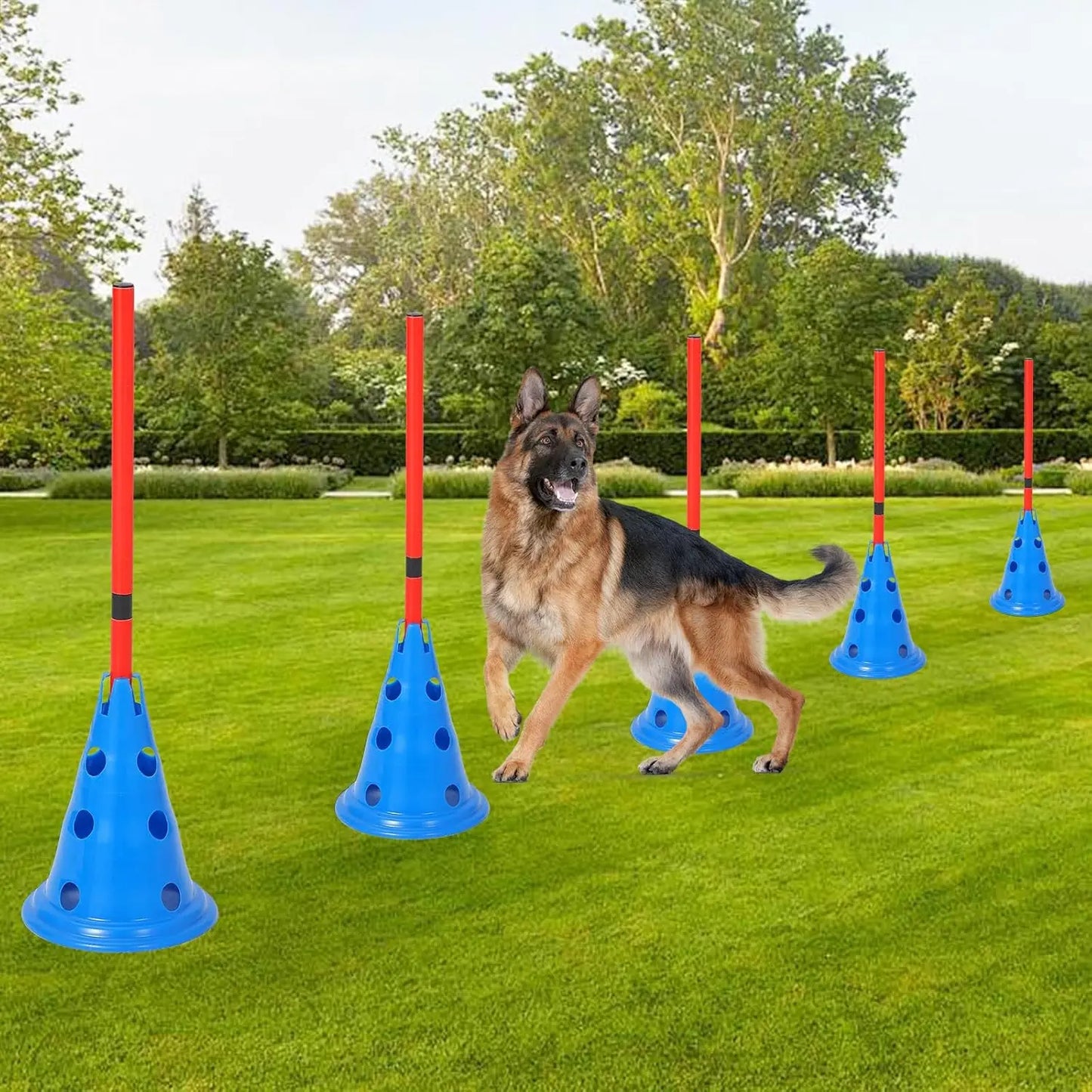 Dog Hurdle  Agility Course Backyard Set
