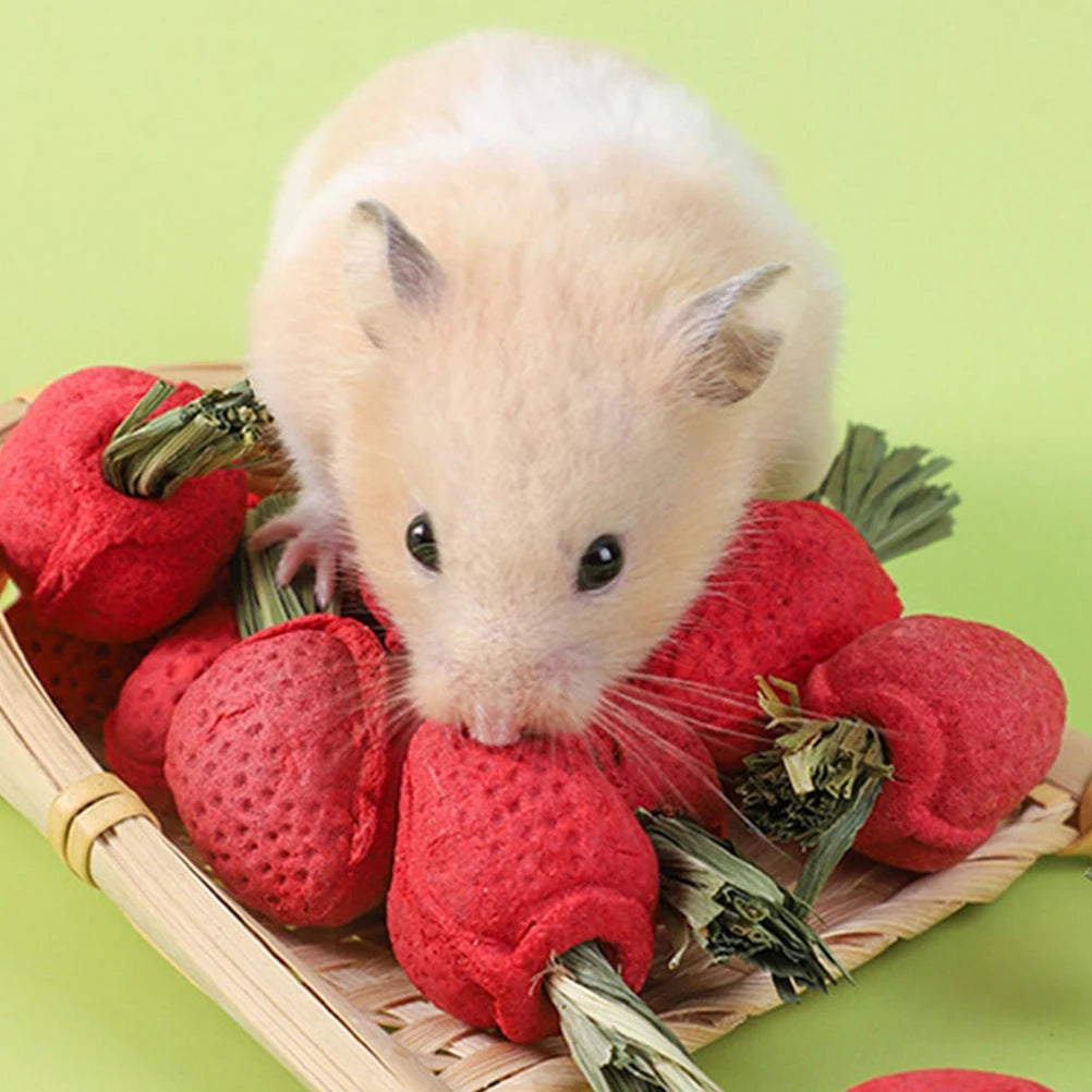 3Pcs Hamster Molar Toy Tooth Molding Strawberry