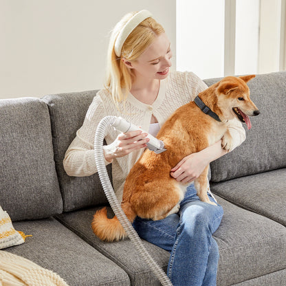 2.5L Professional Pet Grooming Vacuum Kit 3 Modes