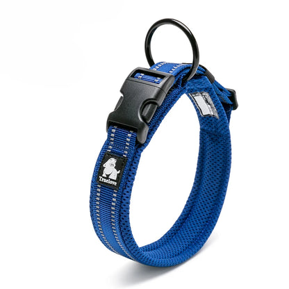 Walking Collar Comfort Padded with Buckle