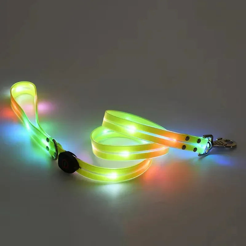 Light Up  Leash Safety Glow USB Rechargeable