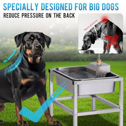 3Gal Automatic Dog Water Bowl for Outdoors