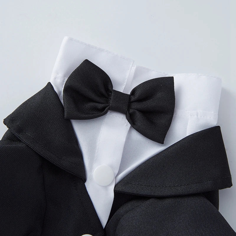 Tuxedo Wedding Party Suit for Small Medium Dogs