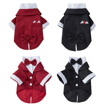 Tuxedo Wedding Party Suit for Small Medium Dogs