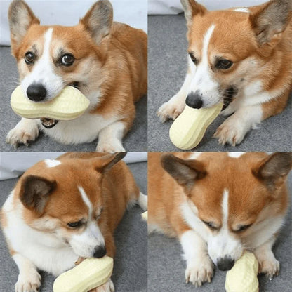 Chewing Toy Peanut Squeaking Anti Bite Rubber