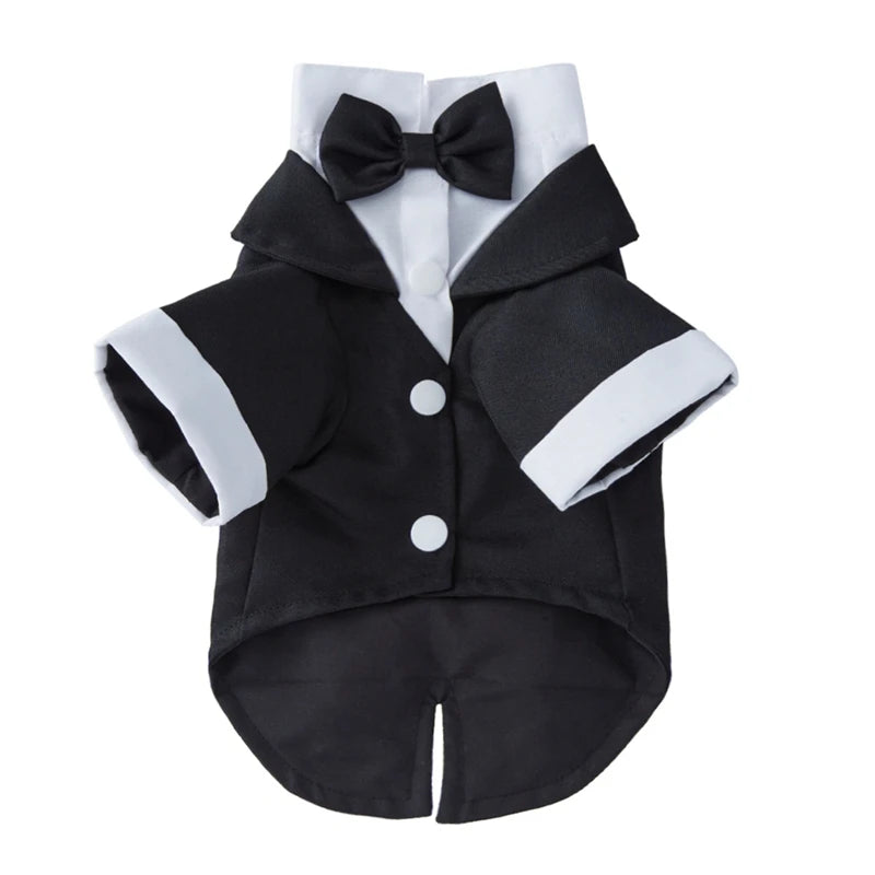 Tuxedo Wedding Party Suit for Small Medium Dogs