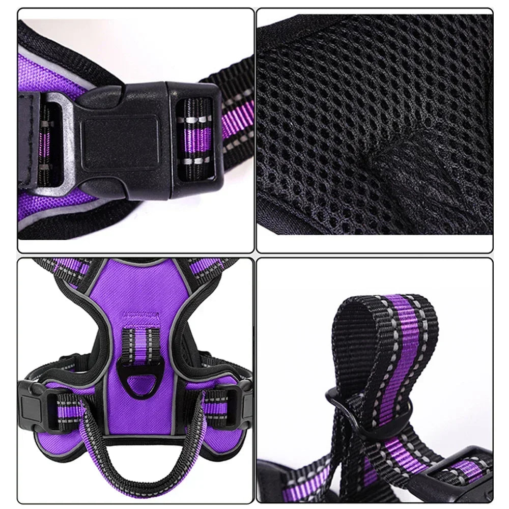 Adjustable Nylon Harness