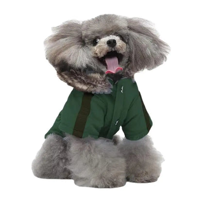 Down Jacket Hoodie Warm Clothing For Winter