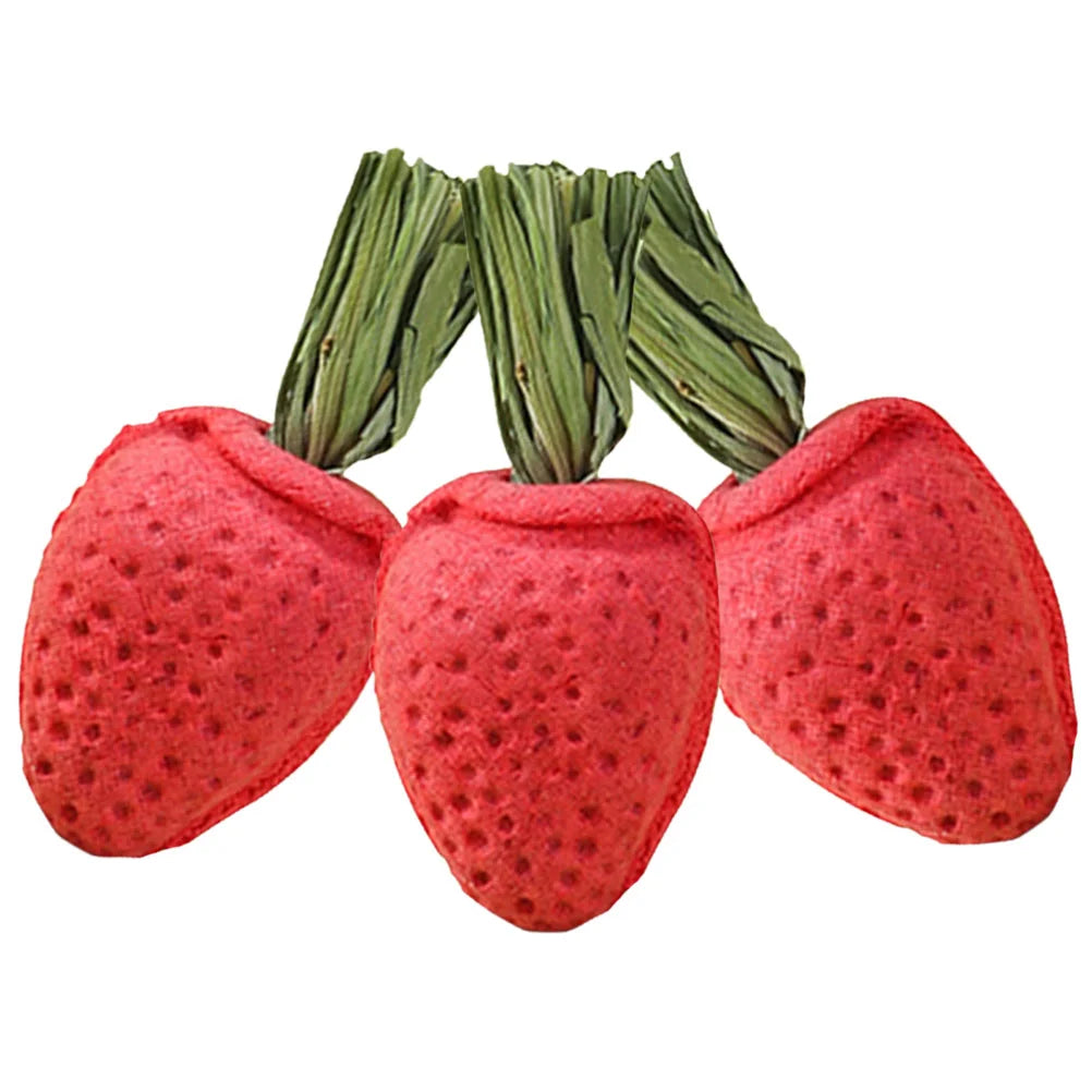 3Pcs Hamster Molar Toy Tooth Molding Strawberry