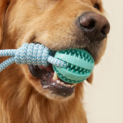 Rope & Rubber  Chew Ball