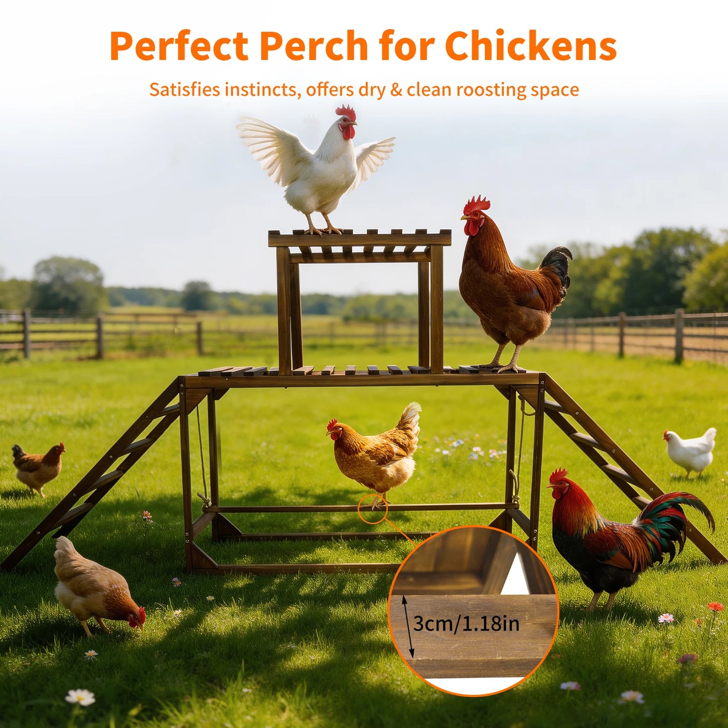 Solid Wood Chicken Perch Coop
