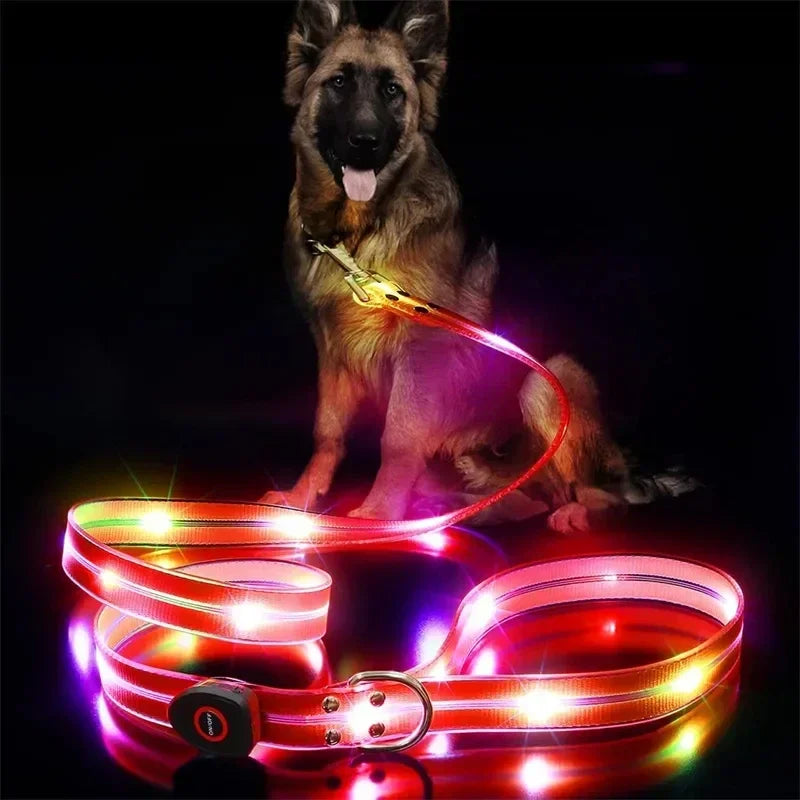 Light Up  Leash Safety Glow USB Rechargeable