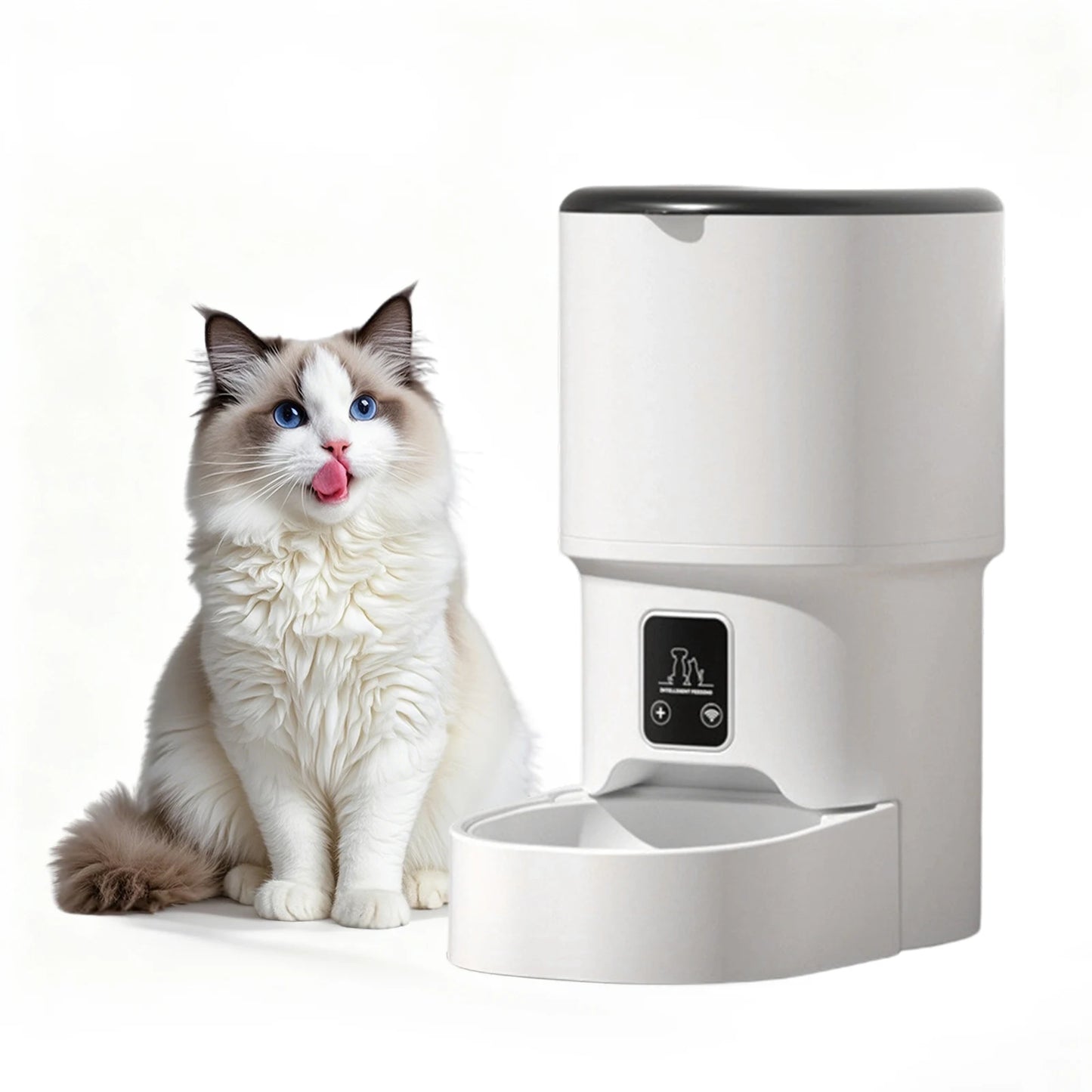 Programmable 4L Automatic Pet Feeder Up to 6 Meals Daily