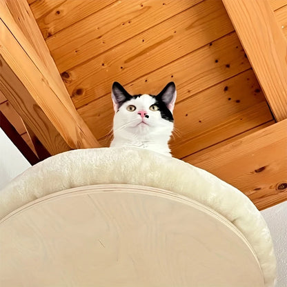 Wall Mounted Solid Wooden Furniture For Climbing