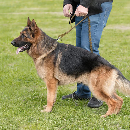 Military Adjustable Leash Quick Release With 2 Control Handle