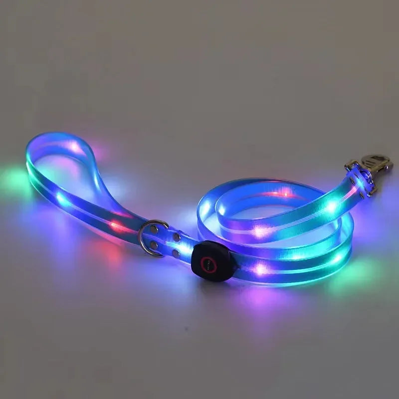 Light Up  Leash Safety Glow USB Rechargeable