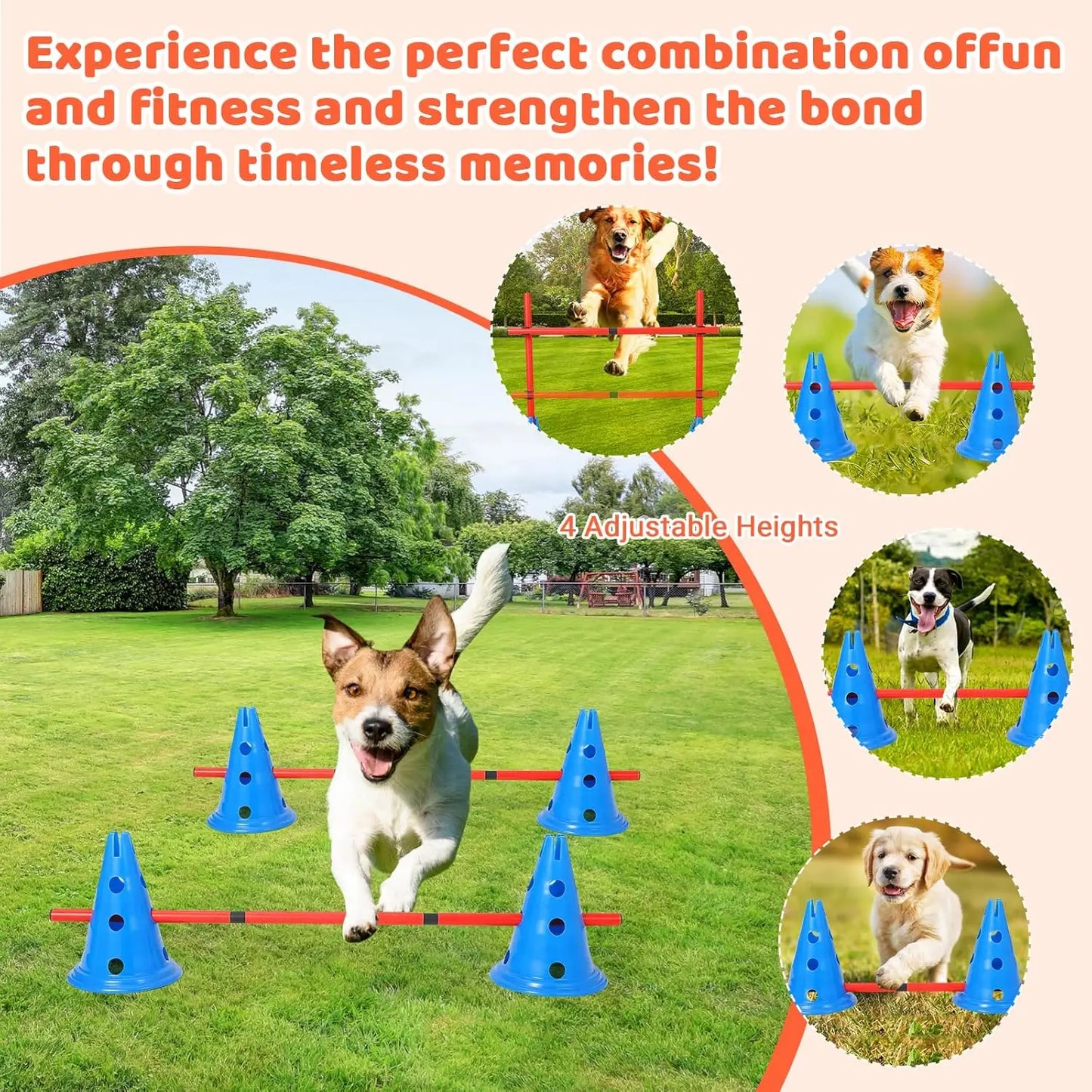 Dog Hurdle  Agility Course Backyard Set