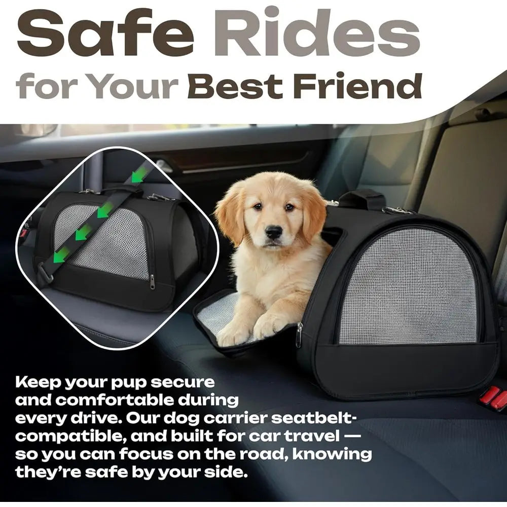 Small Pet Carrier for Cats, Rabbits, Guinea Pigs – Airline Approved