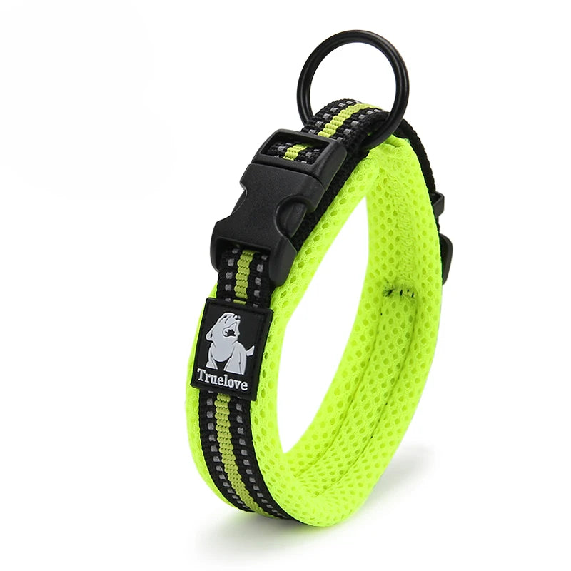 Walking Collar Comfort Padded with Buckle