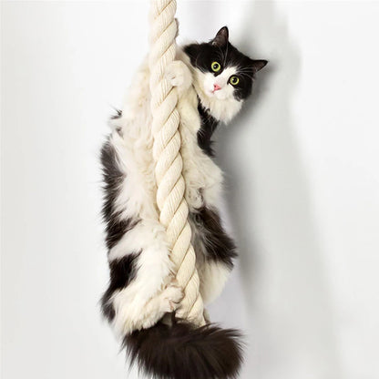 Climbing Shelf and Rope Tree Wall Mounted