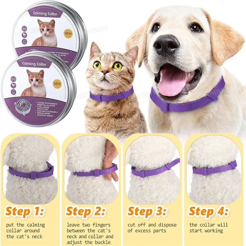 Calming Pheromone Collar Relieves Anxiety