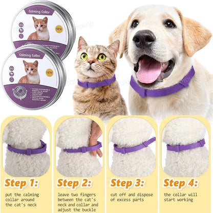 Calming Pheromone Collar Relieves Anxiety