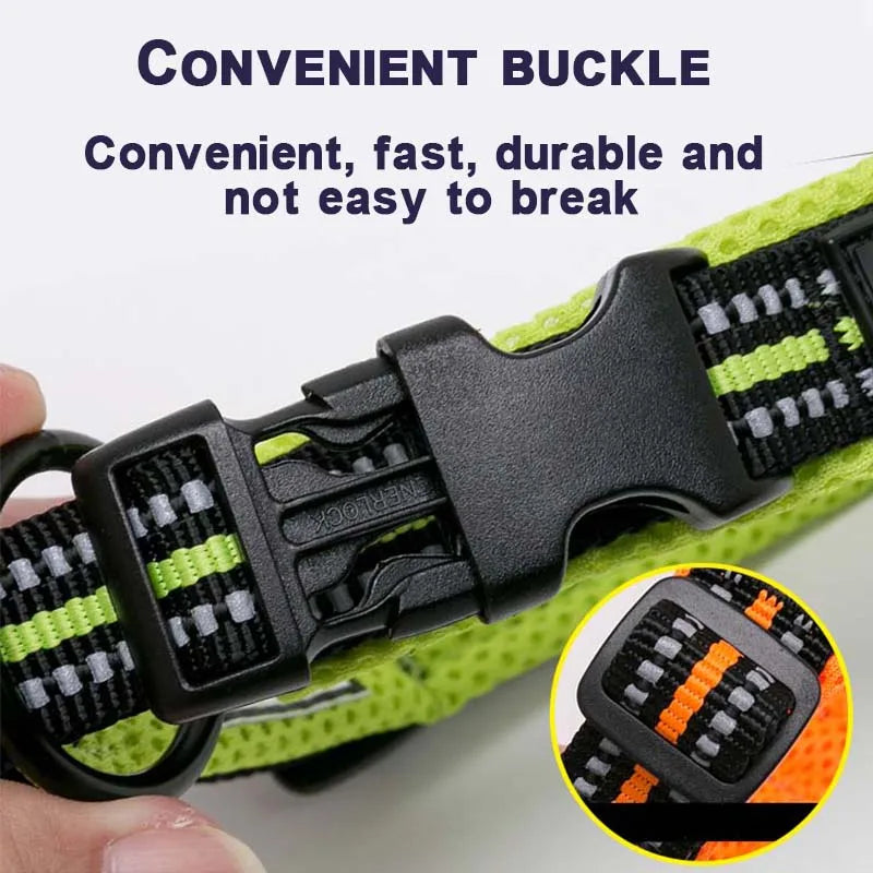 Walking Collar Comfort Padded with Buckle
