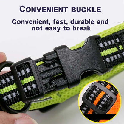 Walking Collar Comfort Padded with Buckle