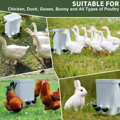 12 Pack Automatic Chicken Water Cups